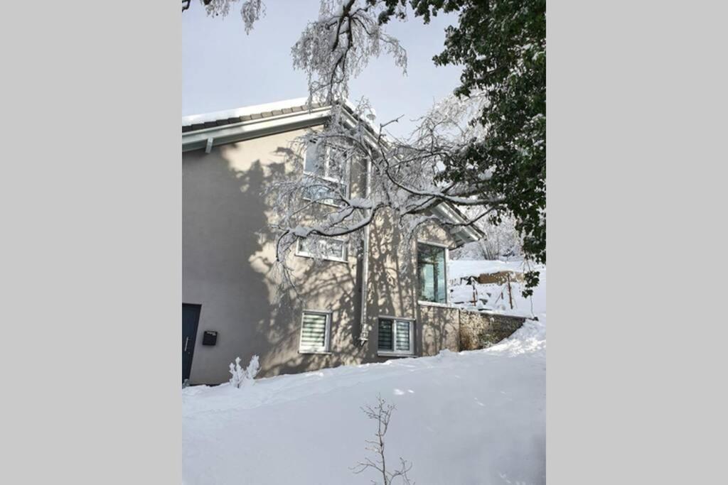 Ferienwohnung Am Musbach In Badenweiler-Sehringen מראה חיצוני תמונה